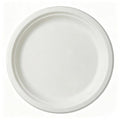 10-inch compostable sugarcane plate in bright eco-white, showcasing clean round design and durable rim.⁠