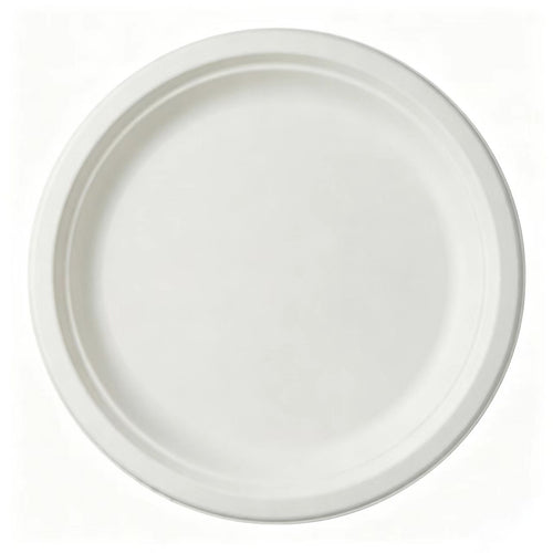 10-inch compostable sugarcane plate in bright eco-white, showcasing clean round design and durable rim.⁠
