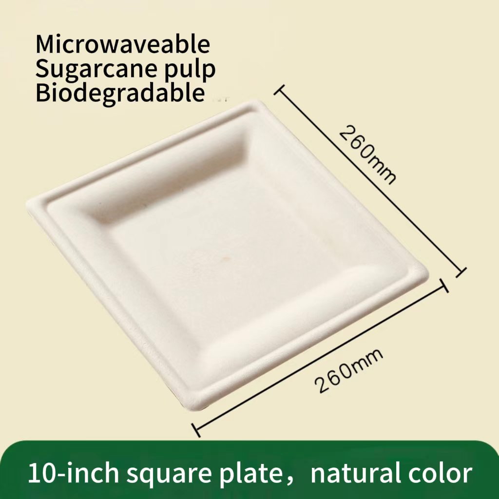 10x10 inch biodegradable square plate in natural unbleached color with dimension specifications showing 254 mm width.⁠