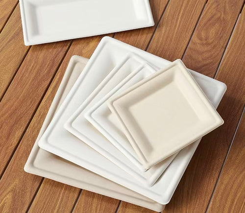 10 inch square compostable plates natural white, sugarcane bagasse disposable square trays