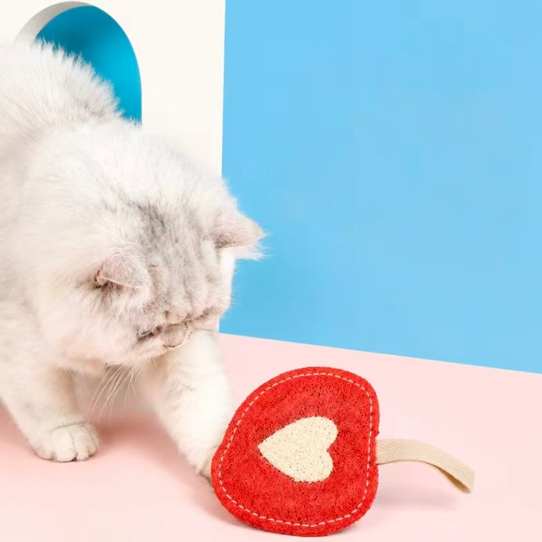 Kitten interacting with apple shaped loofah cat toy indoor