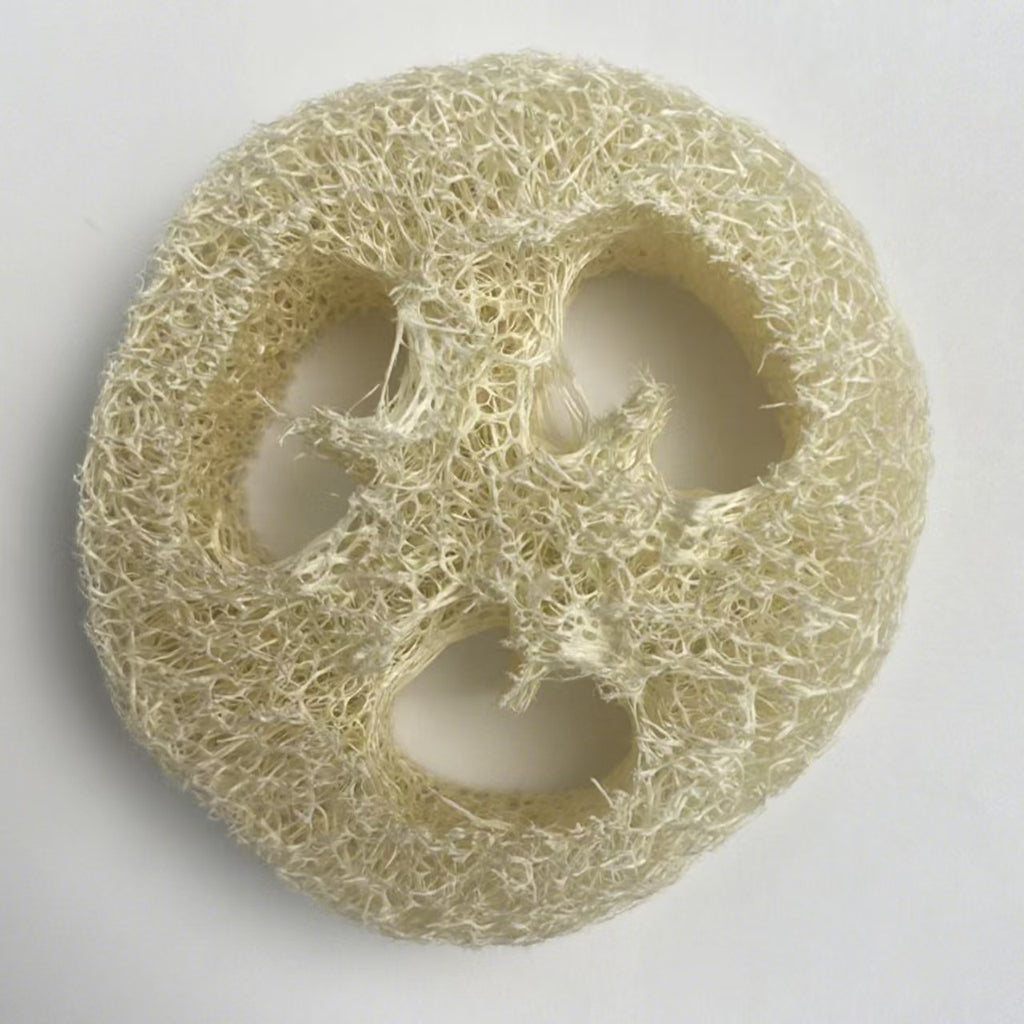 Round loofah soap rest top view, natural plant fiber soap saver white background