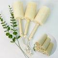 Wood handle loofah bottle cleaning brush styled with fresh green foliage, eco sustainable kitchen scrubber
