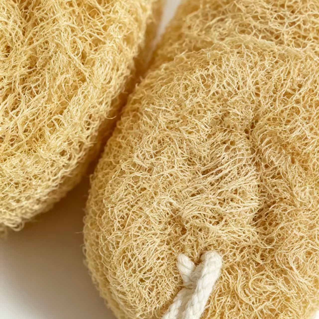 Close-up Texture of Natural Dried Loofah Sponge Disc, Plant Fiber Exfoliating Shower Pad