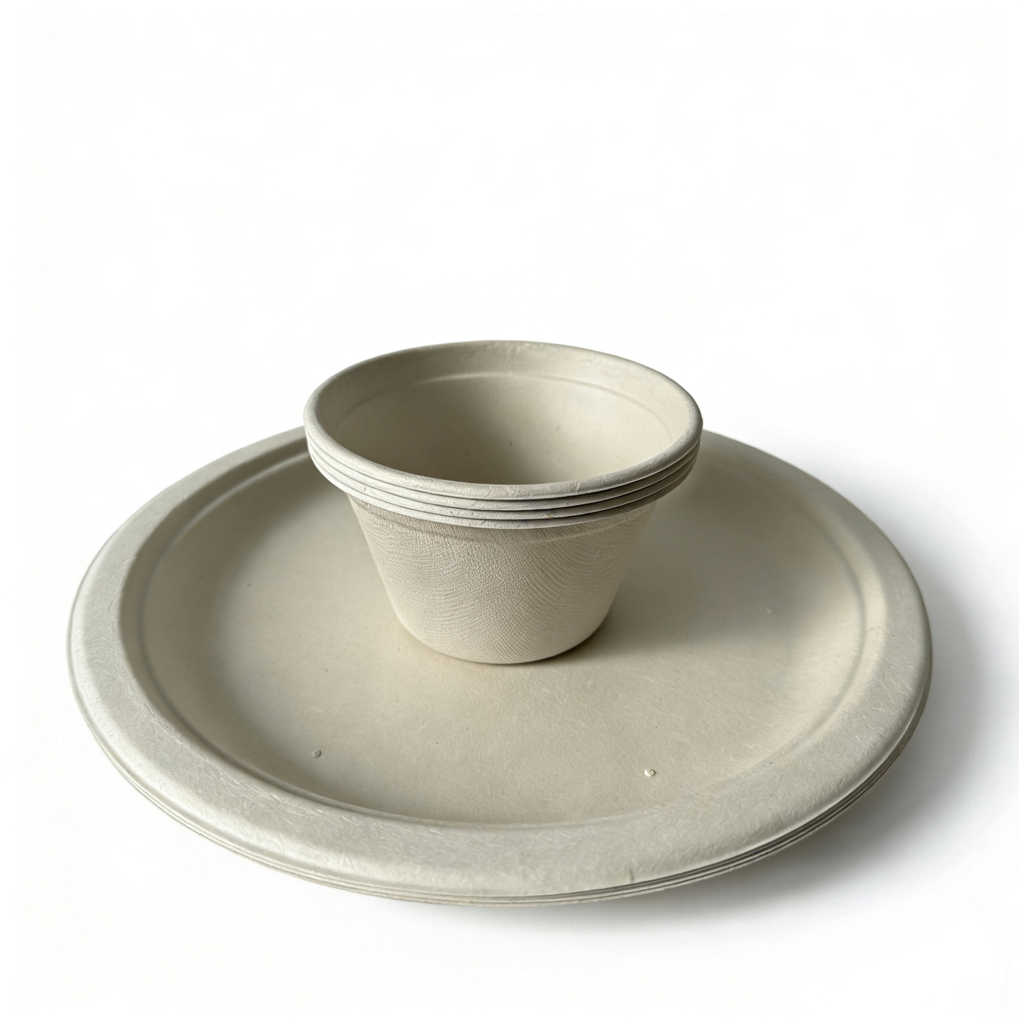  10 inch compostable plate & 500ml bowl, 4 person biodegradable tableware set 