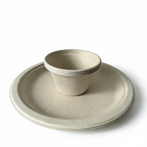  10 inch compostable plate & 500ml bowl, 4 person biodegradable tableware set 