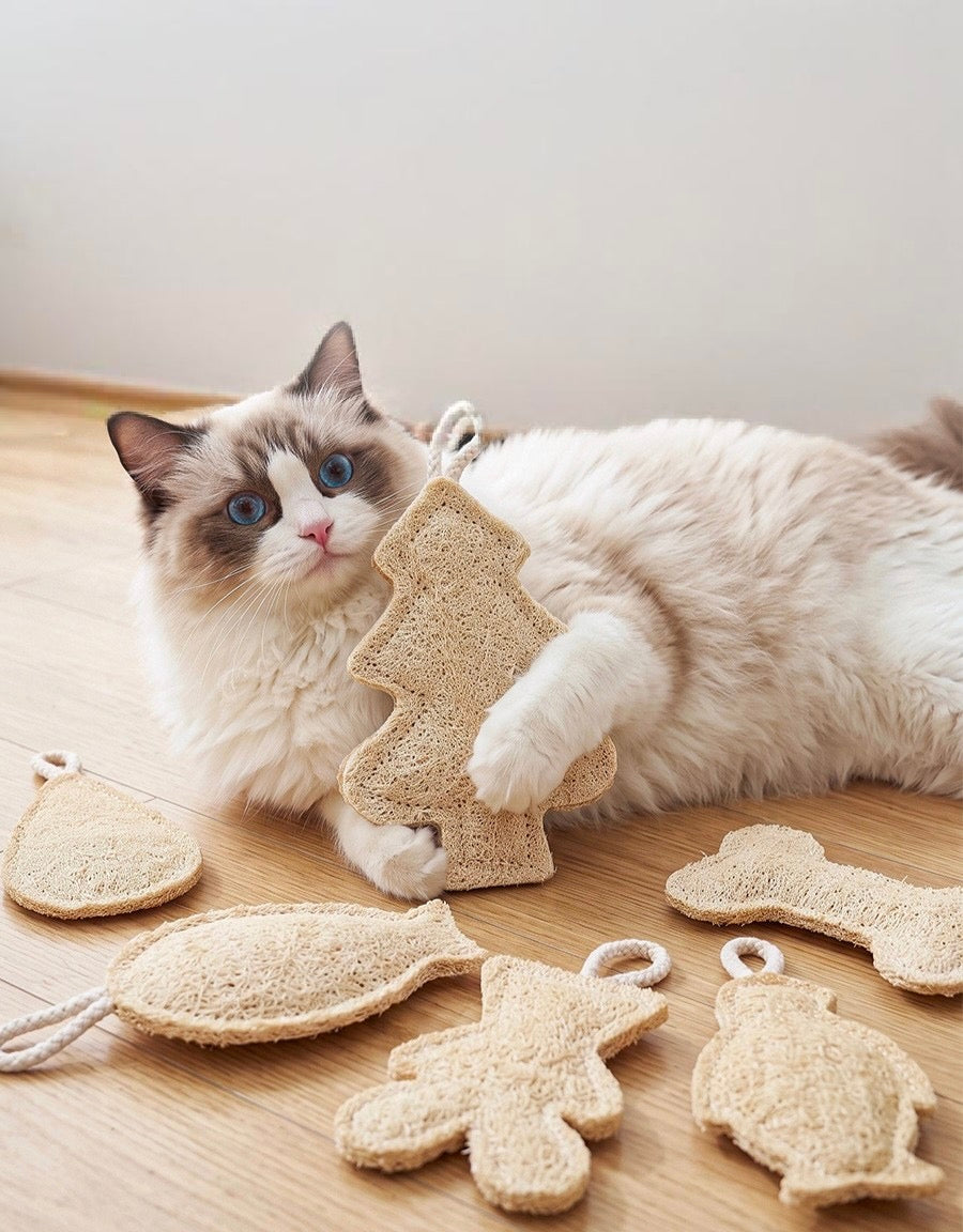 Cat with several shaped natural loofah toys on a wooden floor